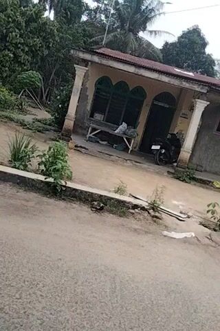 The video, oriented vertically, shows a roadside scene with a rough paved surface on the right and a dirt area on the left. A house with a reddish-brown roof and white pillars is visible on the left, surrounded by lush green foliage and trees, including palm trees. The dirt area appears to be a yard with some scattered debris. The camera moves slightly, panning across the scene. In the distance, what appears to be a small shelter or structure covered in vines is visible on the left. The overall environment suggests a tropical or subtropical location.