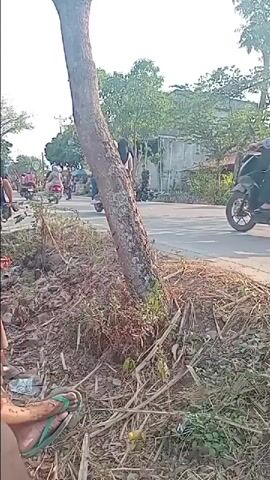The video shows a street scene, possibly in a developing country, with several motorcycles and a few people visible. In the foreground, there's a large tree trunk and some dry vegetation. On the street, multiple motorcycles are present, some with riders and passengers. One motorcycle in the middle ground carries two people, one in front and one behind, with the passenger wearing a hijab. To the right of the road, there are structures that appear to be stalls or small shops, one with a colorful umbrella. Several individuals in military-style uniforms are also present, standing by the roadside. The overall atmosphere suggests a casual, outdoor environment, possibly a market or a gathering of some sort. The lighting indicates it is daytime, with a bright sky.