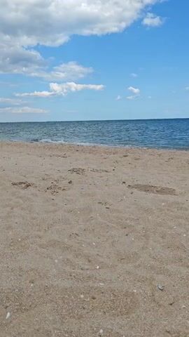 The media file shows a tranquil beach scene on a sunny day. The foreground is dominated by the sandy beach, with visible shells and footprints scattered across the surface. The sand appears light in color, typical of many coastal areas.

In the middle ground, the calm blue water of the sea gently laps at the shore, creating small waves. The horizon line is clearly defined, separating the sea from the sky.

The sky above is a vibrant blue, dotted with fluffy white clouds. The presence of these clouds suggests a pleasant, perhaps slightly breezy, day. The lighting indicates it is daytime, likely late morning or early afternoon, given the brightness.

There are no people or specific objects visible in the frame, emphasizing the natural beauty and peacefulness of the location. The scene evokes a sense of serenity and relaxation, inviting the viewer to imagine themselves enjoying the peaceful atmosphere of the beach.

The location is identified as Novoselivka, Ukraine. This context suggests a seaside setting in the Black Sea region. The overall impression is one of a classic, idyllic beach day, characterized by clear skies, gentle waves, and the warm sand. There is no visible text in the media file.