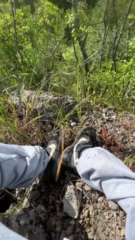 The video shows a viewpoint from someone sitting on a rocky terrain, looking out over a lush green forest. The camera pans up to reveal a scenic vista of rolling hills covered in trees, under a sky dotted with fluffy clouds and a bright sun. A person dressed in black stands on a rocky outcrop, taking in the view. The environment is vibrant with green vegetation, suggesting a natural, outdoor setting.