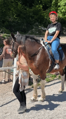 Horseback riding lessons documented at Montenegro stable facility