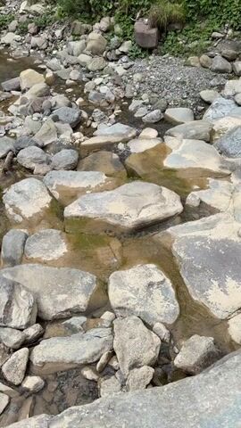 The video shows a rocky stream bed in a forest. The stream is shallow and contains clear water flowing over smooth stones. The surrounding area is covered with lush green vegetation, and tall trees rise up the sides of a steep incline. A fallen log lies across the stream bed in the distance. The overall impression is one of a natural, serene environment.