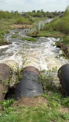The video shows a discharge of foamy, brownish-yellow water flowing into a small river or stream. The discharge originates from three large, dark-colored pipes partially covered with vegetation and secured with a metal grate. The surrounding environment consists of green grass, shrubs, and trees. In the background, there are some houses visible. The sky appears overcast. The water creates foamy turbulence as it enters the stream.