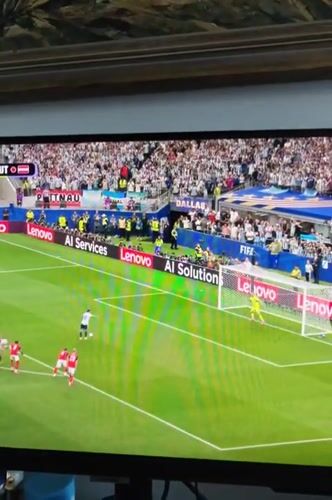 Dogs on a walk, Argentina vs. Austria on the TV