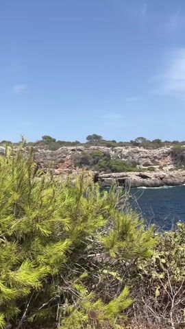 A vertical video pans across a rocky coastline. In the foreground, green pine trees and dry brush dominate the lower portion of the frame. The middle ground features a deep blue sea that laps against a rugged, brown, and tan cliff face. On the cliff, a small, stone tower with a light-colored roof is visible on the right side. The sky above is a clear, bright blue with a few wispy white clouds. The camera moves from left to right, offering a wider view of the sea and the coastline as it progresses.