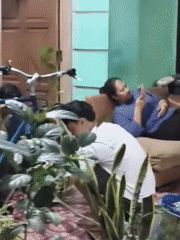 Cats, a warung, and everyday scenes from South Tangerang