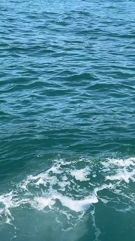 The video shows a view of the ocean from a boat. The water is a deep teal color with small waves. White foam from the boat's wake is visible in the foreground. There is the sound of people talking in the background, but no one is visible in the frame.