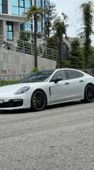 White Porsche spotted parked in Sochi amid palm trees