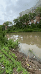 Murky canal cuts through green, semi-urban Blagoveshchensk