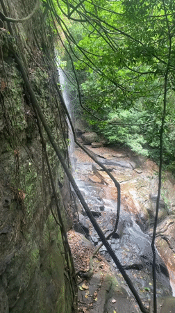 Person crosses forest bridge near waterfall in Warapitiya
