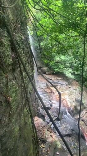Person crosses forest bridge near waterfall in Warapitiya