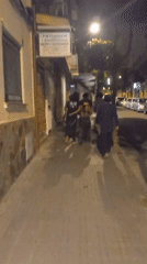 Late-night outdoor concert draws crowds in Cornellà de Llobregat