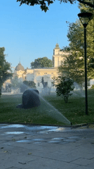 Park sprinklers water lawn in early morning Sofia