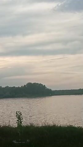 The video shows a serene body of water with a tree in the foreground and a tree line in the background. The sky is overcast with clouds, and there is a faint reflection on the water. The scene appears calm and peaceful.