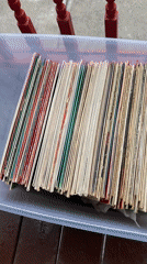 Person browses vinyl record collection in Newburgh
