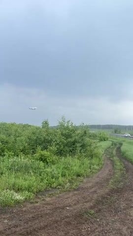 A vertical video shows a rural landscape under an overcast sky. In the foreground, a muddy dirt path curves through lush green grass and bushes. A paved road with a metal guardrail runs horizontally across the midground, with a white SUV and a dark SUV driving from left to right. A dense forest lines the horizon. A white airplane with blue and purple markings on its tail and engine area, with landing gear deployed, flies from the left towards the right side of the frame, appearing to descend.