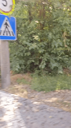 Street-level drive through Bălți's green urban edges