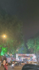 Festive lights, wedding décor, and a dinosaur sculpture in Mumbai
