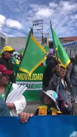 A medium shot captures a street-level view of a large group of people marching down a street. They are holding green and yellow flags and a large green banner that reads "Movilidad y informaremos". The crowd includes men, women, and children, many wearing hats and casual clothing. Some individuals are blowing whistles, adding to the lively atmosphere. Buildings line the street, and overhead power lines are visible against a partly cloudy sky. The overall scene suggests a public demonstration or parade. The camera appears to be moving with the crowd, capturing the energy and momentum of the march.