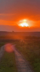 Sunset captured on dirt road through Russian field