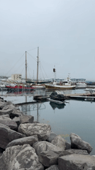 Witness documents quiet morning at Húsavík harbor under overcast skies