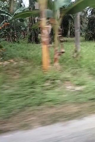 The video shows a blurred, sideways view of a person or vehicle moving along a paved road. On the left side of the road, there is vegetation, including palm trees and other greenery. Further down the road, a partially visible, light-colored, two-story building with several windows can be seen. The building appears to be in disrepair, with some windows broken. The overall impression is of a rural or semi-rural environment.
