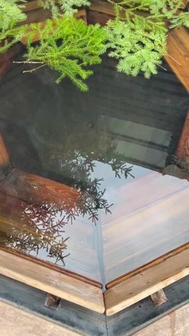 The video shows a wooden container filled with water. The water is somewhat murky, reflecting the surrounding branches of a coniferous tree. Steam rises from the water's surface, indicating it is warm. The container is hexagonal in shape and constructed of light-colored wood. The camera is positioned directly above the container, looking down into the water.