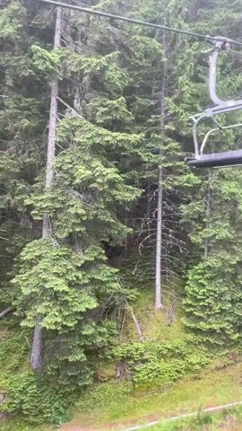 The video shows a chairlift moving through a forest with tall evergreen trees. One chair is empty and suspended above a steep, wooded slope. Below the chairlift, a dirt path winds through the trees, marked with white tape. A single, tall, dead tree stands out amongst the green foliage. The camera then pans to show the rear of a mountain bike attached to a chairlift hook, with another bike visible behind it. The bikes are suspended in the air against the backdrop of the forest.