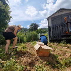 Family gardening day in rural South Korea with a toddler in tow