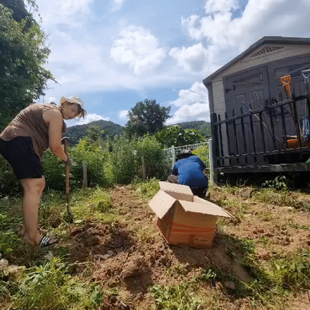 Family gardening day in rural South Korea with a toddler in tow