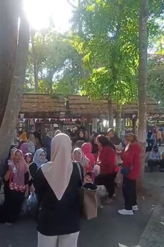The video shows a group of people gathered outdoors, likely in a public space with trees and sunlight filtering through the leaves. Many of the people appear to be women, some wearing hijabs and colorful clothing. Some are sitting on the ground, while others are standing and interacting. There are structures in the background that suggest a marketplace or gathering area, with thatched roofs and decorative flags. The overall atmosphere seems relaxed and social, possibly a casual outing or a community event.
