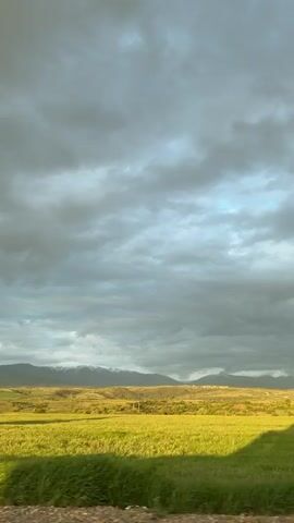 A vertical video captures a dynamic view of a rural landscape from a moving vehicle. The foreground features vibrant green fields, likely crops such as wheat or barley, bathed in a warm, golden light suggesting late afternoon or early evening. In the mid-ground, scattered trees with similar warm illumination pass by rapidly. Beyond the fields, a range of mountains rises, with some peaks visibly covered in snow, indicating a cooler season or higher elevation. The sky is largely overcast with dramatic, dark grey clouds, but patches of lighter blue are visible, and sunlight breaks through to illuminate parts of the landscape. The scene conveys a sense of serene natural beauty as the viewer moves through the environment. No people or visible text are present. The location context provided is Barakovo, Bulgaria.