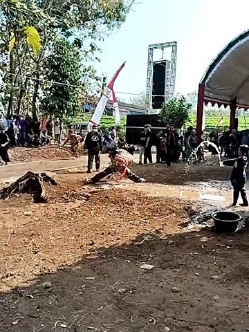 The video captures an outdoor performance, possibly a traditional ritual or martial arts demonstration. The ground is covered in dry soil and debris, with scattered tree stumps and foliage. In the background, trees form a backdrop, and a large speaker system is visible on a stage or raised platform. A white tent with red trim is also present. A crowd of onlookers stands behind a low barrier, observing the proceedings.

The central action involves several individuals. One person, dressed in striped clothing and adorned with what appears to be animal fur or a costume, is lying on the ground, appearing to be in a prone or collapsed state. Another individual, dressed in dark clothing, wields a whip or lash and is in motion, possibly striking or interacting with the person on the ground. Further back, other individuals are also actively participating or observing. A flag, predominantly white with red markings, is prominently displayed, possibly indicating a location or affiliation. The lighting suggests a daytime setting with sunlight filtering through the trees. The overall atmosphere seems to be one of energetic performance and audience engagement.