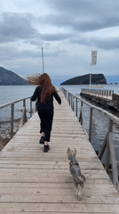 Woman and dog run down wooden pier in Budva