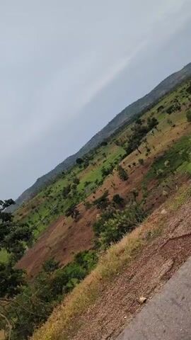 The video shows a hillside landscape under a cloudy sky. The hillside is predominantly green with patches of brown soil visible. There are scattered trees of varying sizes throughout the landscape. The camera appears to be moving, possibly from a vehicle, as the view shifts across the hillside.