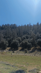 Person walks through scenic green landscape near Ajdir, Morocco