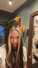 Woman with pet Sun Conure bird captured in Khimki home