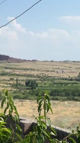 A vertical, slightly shaky video shows a rural landscape under a bright blue sky with scattered white clouds. In the foreground, green plants with large leaves are growing in front of a low stone wall. The middle ground features dry, yellowed grass interspersed with patches of green vegetation and a few trees. In the distance, a reddish-brown hill or mountain range rises on the left. Further in the background, there are some buildings and structures, suggesting human habitation or development. A thin black wire is visible stretching diagonally across the upper portion of the frame. The overall impression is one of an arid or semi-arid rural environment on a sunny day.