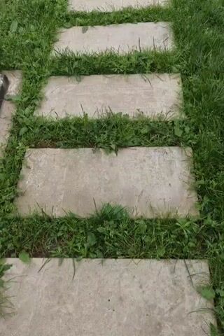 The video shows a first-person perspective of walking on a stone pathway through grass. The pathway is made of rectangular stone slabs, each spaced a few inches apart from the next. Green grass and small weeds grow between the stones. The camera pans downwards slightly as the person walks, showing their bare feet stepping onto the stones. The lighting suggests it is daytime and possibly overcast.