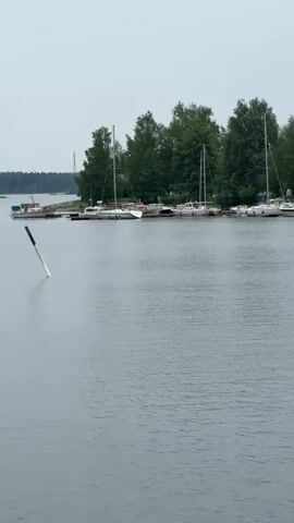 A wide shot of a river in the foreground, with a dock extending into the river from the right side of the frame. There are boats docked on both sides of the dock. Trees line the far bank, and the sky is overcast. The water is calm with a few ripples.