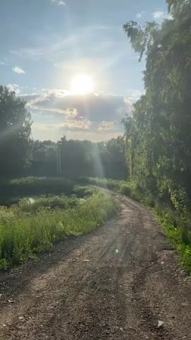 The video is a vertical shot looking down a gravel path that curves to the left. The sun is visible in the upper center of the frame, partially obscured by clouds, casting bright rays through the sky. Trees line both sides of the path, with lush green foliage. To the left of the path, beyond the trees, is an area of tall grass and some water, possibly a pond. In the distance, through the trees, several houses or buildings can be seen. The lighting suggests it is either sunrise or sunset. There are no people or animals visible in the frame. The overall scene depicts a serene, natural environment.
