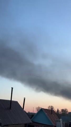 The video shows a line of birds flying in formation across a partly cloudy sky at dusk. Several simple wooden houses are visible in the foreground, some with chimneys. One house has a television antenna. The sky is pale blue and pink at the horizon.