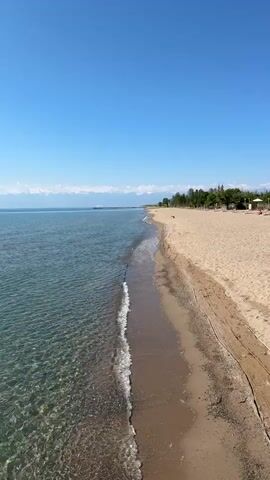 A vertical video captures a serene beach scene with a clear blue sky and calm water. The beach is composed of light-colored sand, with a gentle shoreline where small waves lap the sand. The water is transparent, revealing the sandy bottom. In the background, trees line the edge of the beach, and distant mountains or hills are visible on the horizon. The scene is peaceful and idyllic, suggesting a quiet day at the beach.