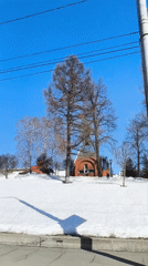 Winter scenes captured around Izhevsk featuring cathedral and wildlife