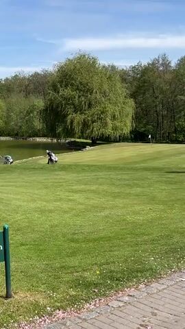 The video captures a serene golf course scene on a bright, sunny day in Bad Rappenau, Germany. The foreground features a neatly manicured green lawn with a brick pathway partially visible on the right, adorned with scattered pink petals. In the mid-ground, a white golf flag marks the putting green. Beyond the green, a pond reflects the clear blue sky, and a fountain sprays water high into the air. Several golfers are visible near the pond, pushing their golf bags on wheeled trolleys.

Lush green trees line the far side of the pond, forming a natural backdrop. A large, verdant weeping willow tree stands prominently to the left of the pond.

Several green directional signs are placed on the course. One sign points towards "TEE 1," "TEE 10," "DRIVING RANGE," "GOLF OFFICE," and "CLUBHAUS." Another sign, in German, reads "PUTTING GREEN ZUTRITT NUR FÜR GOLFSPIELER" (Putting Green Access Only For Golfers), and a smaller sign states "PITCHEN ZUM PUTTING GREEN VERBOTEN!" (Pitching to the Putting Green Forbidden!). The overall atmosphere is calm and inviting, ideal for a day of golf.