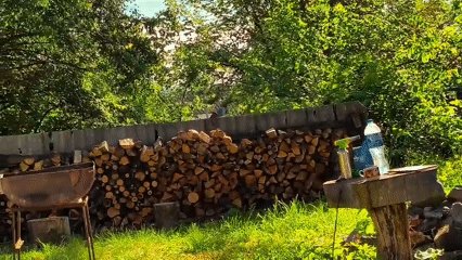 Rural life glimpses captured in Ukrainian village backyard