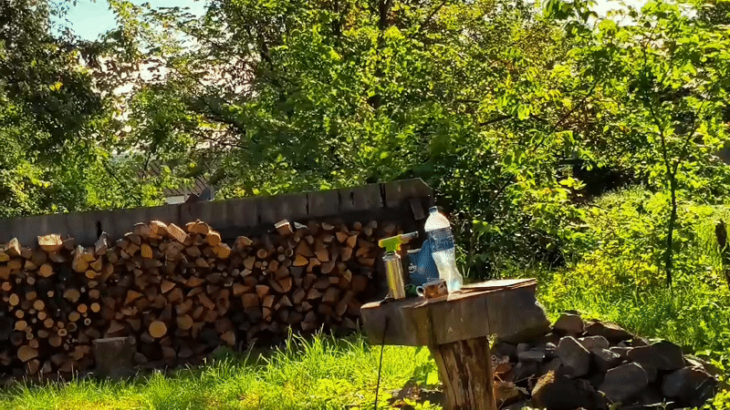 Rural life glimpses captured in Ukrainian village backyard