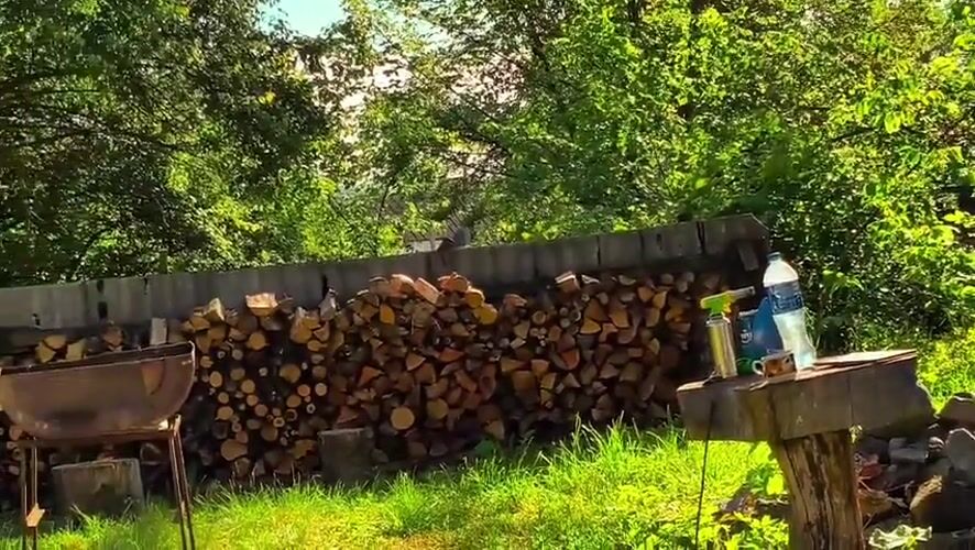 Rural life glimpses captured in Ukrainian village backyard