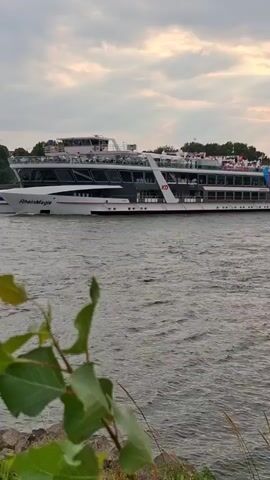 A cruise ship named RheinMagie sails on a river. The ship is white with multiple decks and a large glass-enclosed upper deck. People are visible on the upper deck of the ship. The river water is choppy. In the foreground, out-of-focus green leaves and branches obscure part of the view. Rocks are visible along the riverbank in the foreground. The sky is overcast.
