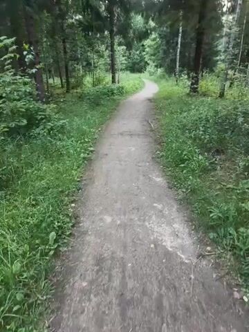 A first-person perspective video shows a dirt path winding through a forest. Trees and green foliage line both sides of the path. The path curves gently to the left and appears to lead further into the wooded area. The lighting suggests it is daytime, possibly overcast or late afternoon, with soft light filtering through the trees. The ground of the path is a mix of dirt and small stones.